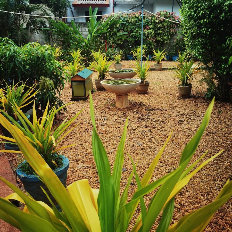 City Paradise Dambulla Esterno foto
