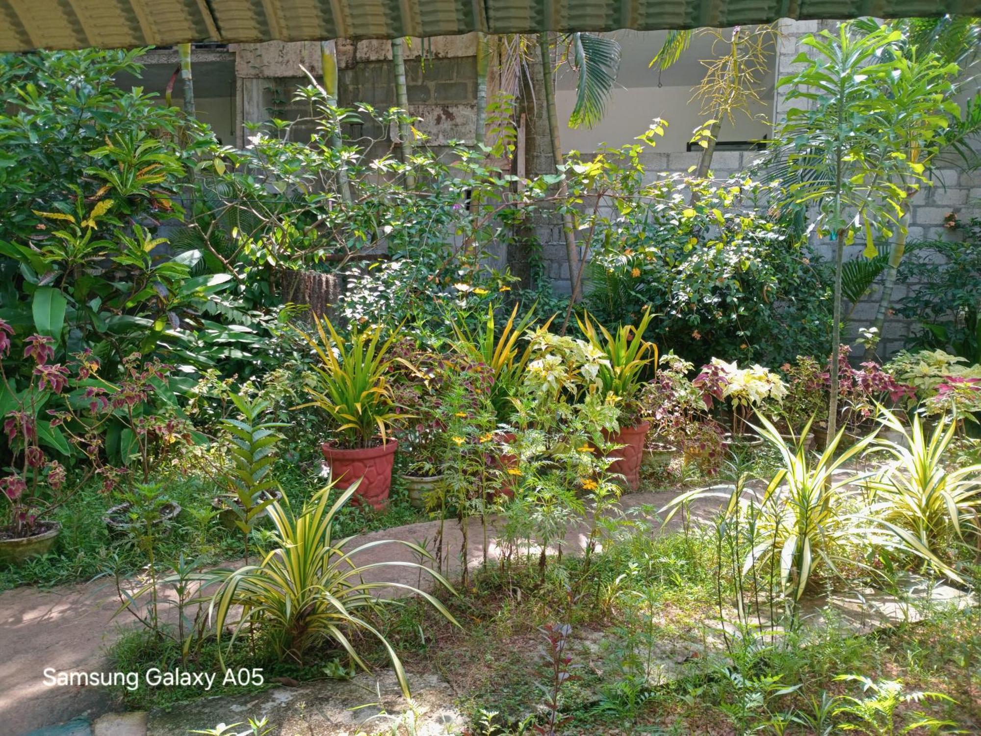 City Paradise Dambulla Esterno foto